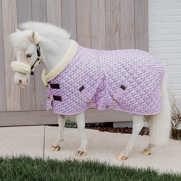 Couverture De Présentation Kentucky Sammy Vieux rose