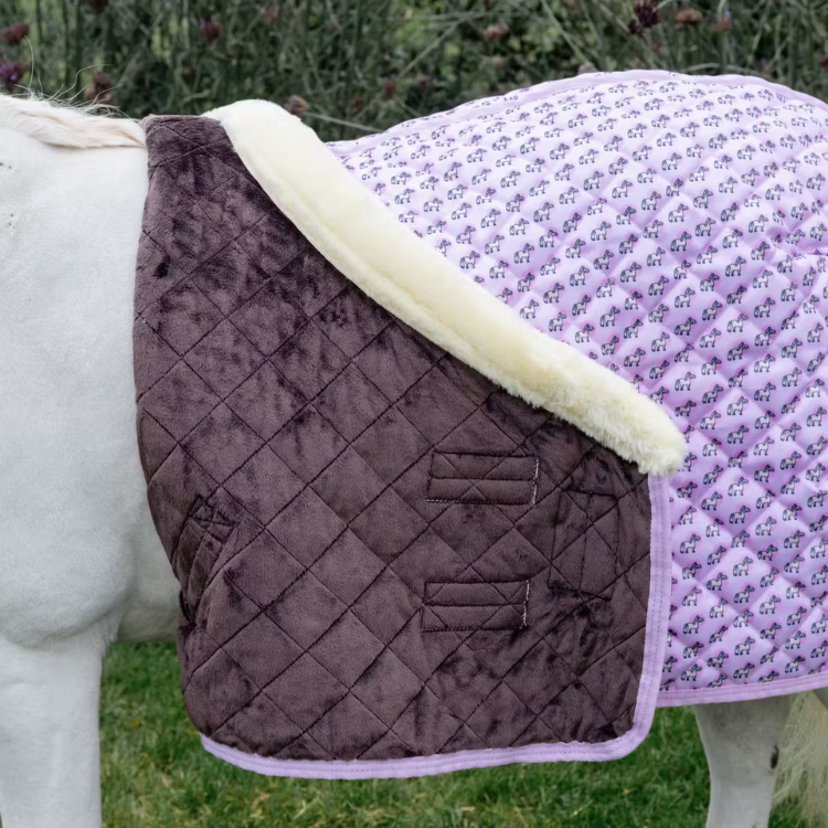 Couverture De Présentation Kentucky Sammy Vieux rose