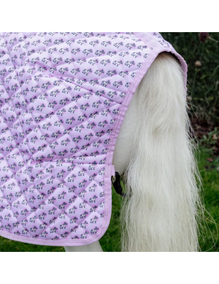 Couverture De Présentation Kentucky Sammy Vieux rose