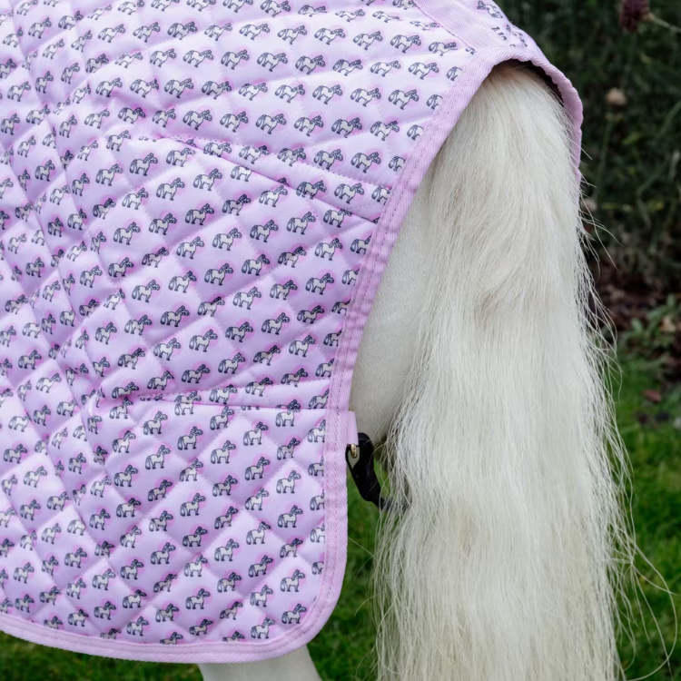 Couverture De Présentation Kentucky Sammy Vieux rose