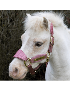 Kentucky Velvet Unicorn... 2