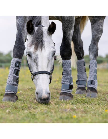Guêtres Anti-Mouches LeMieux Gladiator Mesh