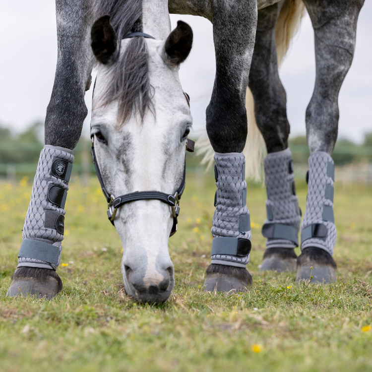 Guêtres Anti-Mouches LeMieux...