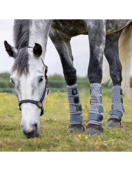 Guêtres Anti-Mouches LeMieux Gladiator Mesh