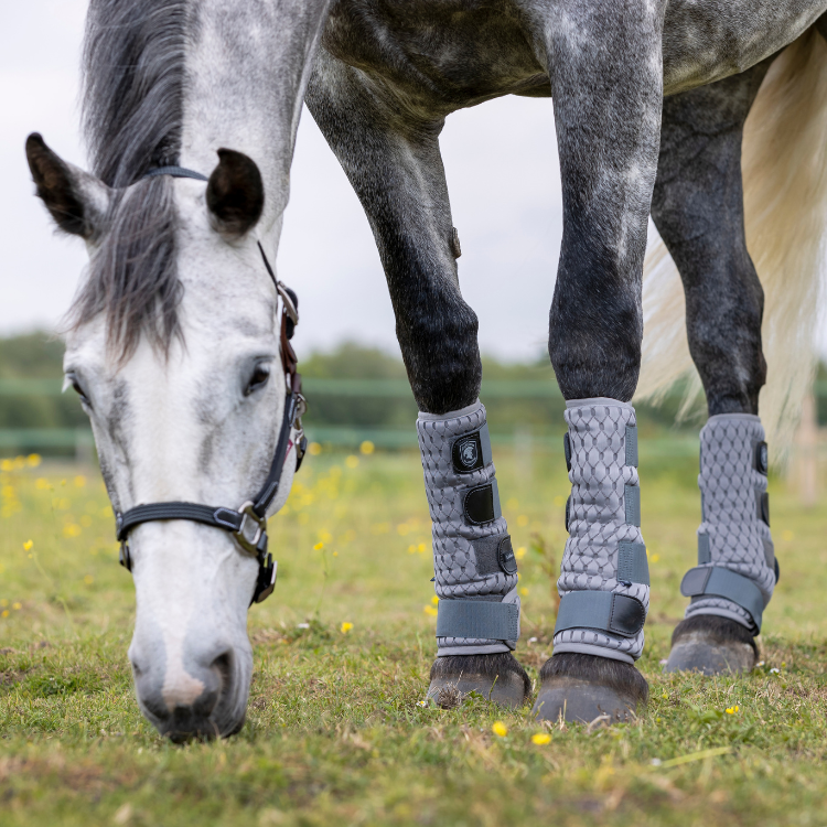 Guêtres Anti-Mouches LeMieux...