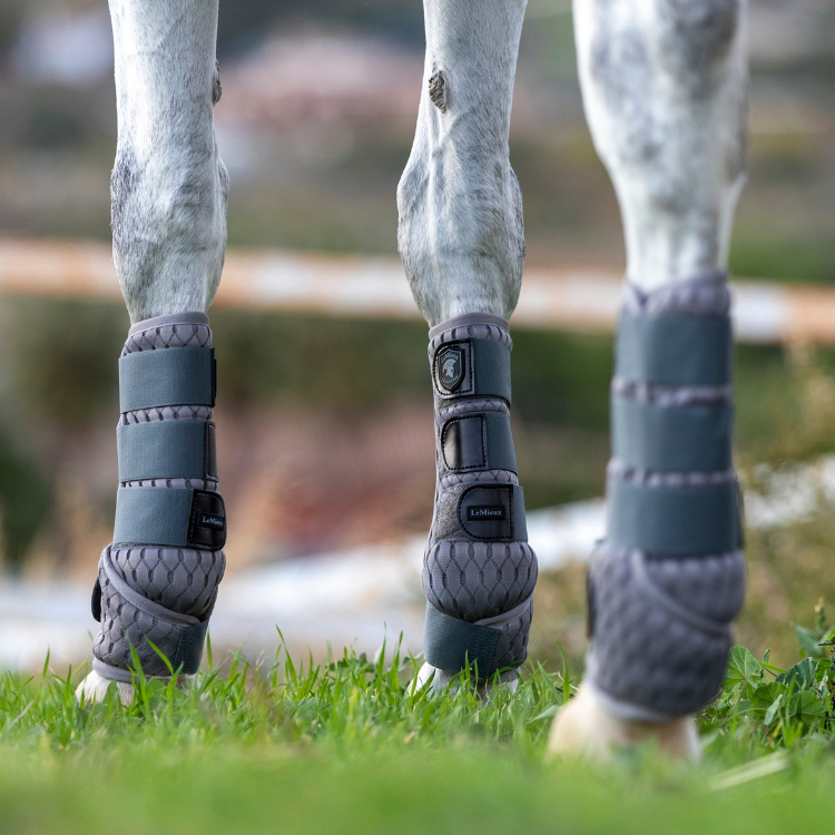 Guêtres Anti-Mouches LeMieux...