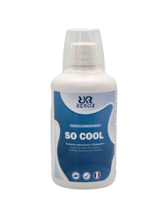 Complément Rekor So Cool 500ml