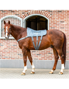 Equilibrium Massage Mat 2