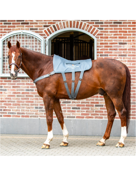 Tapis De Massage Equilibrium