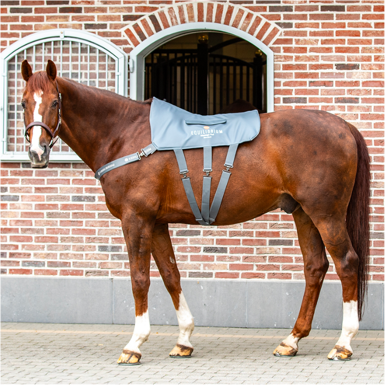 Tapis De Massage Equilibrium