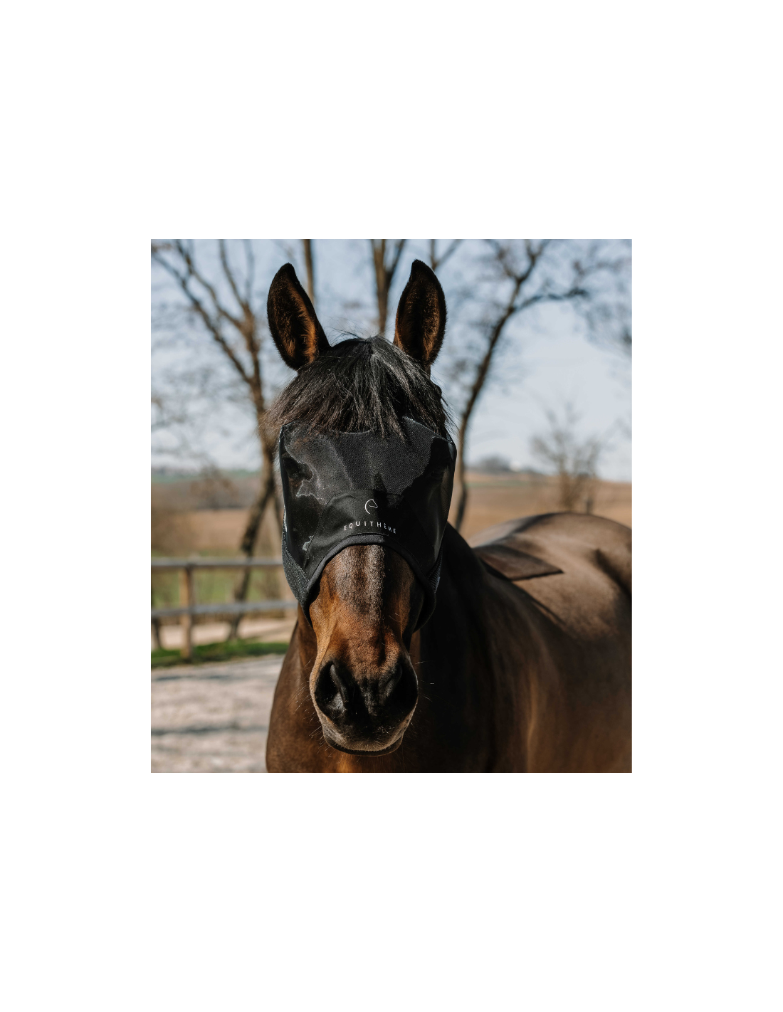 Rhinegold 475-XF – Masque Anti-mouches Sans Oreilles Pour Cheval, Maille Fine, Fermeture Velcro Large, Noir