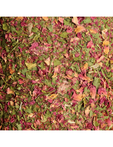 Jouet Relaxant Kentucky En Bois Avec Pierre à Sel AIRWAYS