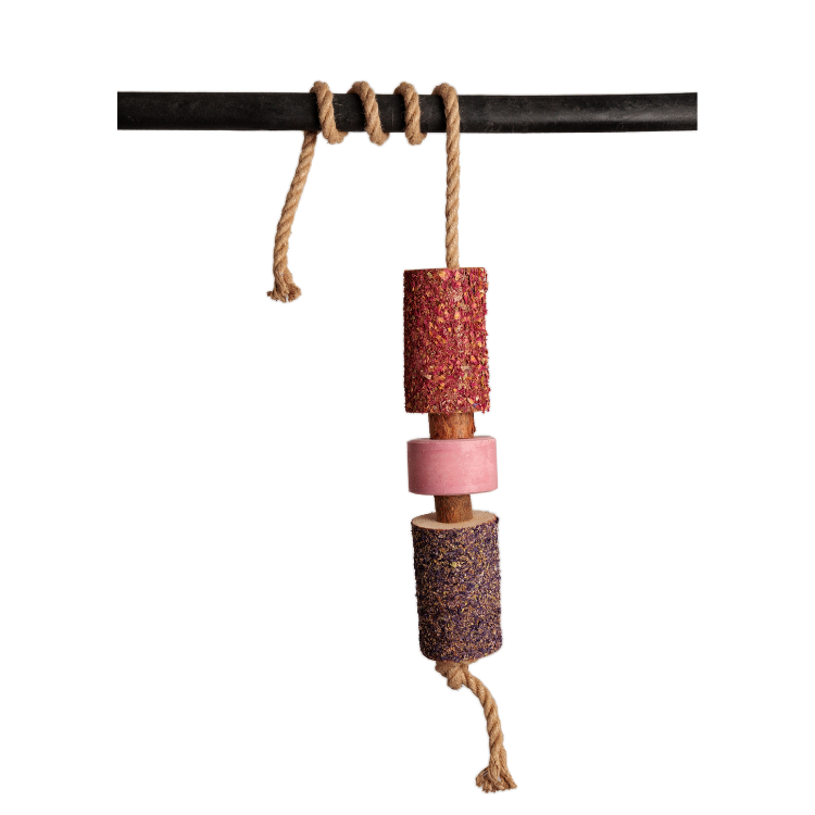 Jouet Relaxant Kentucky En Bois Avec Pierre à Sel SAMMY