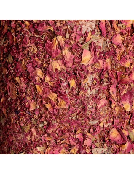 Jouet Relaxant Kentucky En Bois Avec Pierre à Sel SAMMY