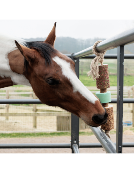 Jouet Relaxant Kentucky En Bois Avec Pierre à Sel AIRWAYS