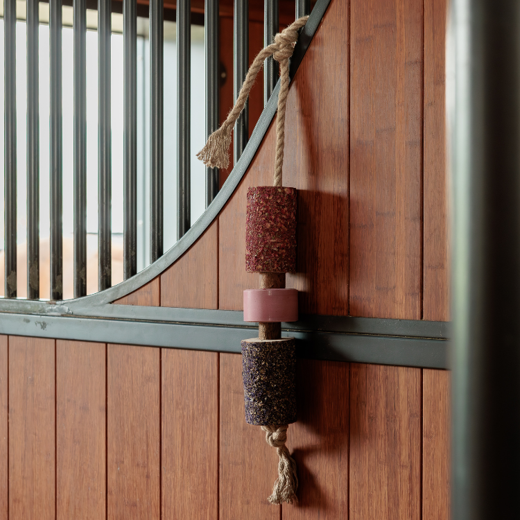 Jouet Relaxant Kentucky En Bois Avec Pierre à Sel SAMMY