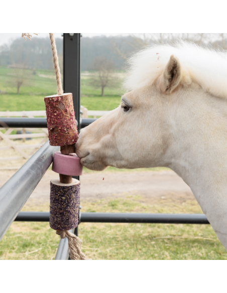 Jouet Relaxant Kentucky En Bois Avec Pierre à Sel SAMMY