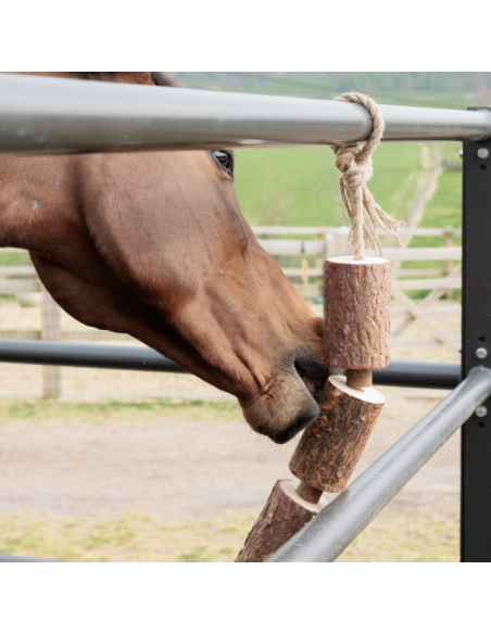 Jouet Relaxant Grooming Deluxe En Bois NATURE