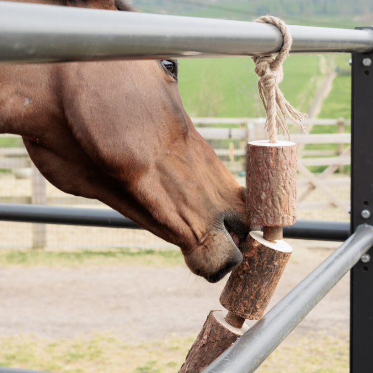 Jouet Relaxant Grooming Deluxe En Bois NATURE