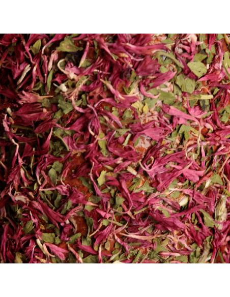 Jouet Relaxant Grooming Deluxe En Bois DE-STRESS