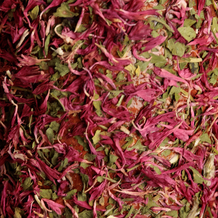 Jouet Relaxant Grooming Deluxe En Bois DE-STRESS