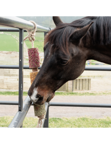 Jouet Relaxant Grooming Deluxe En Bois DE-STRESS