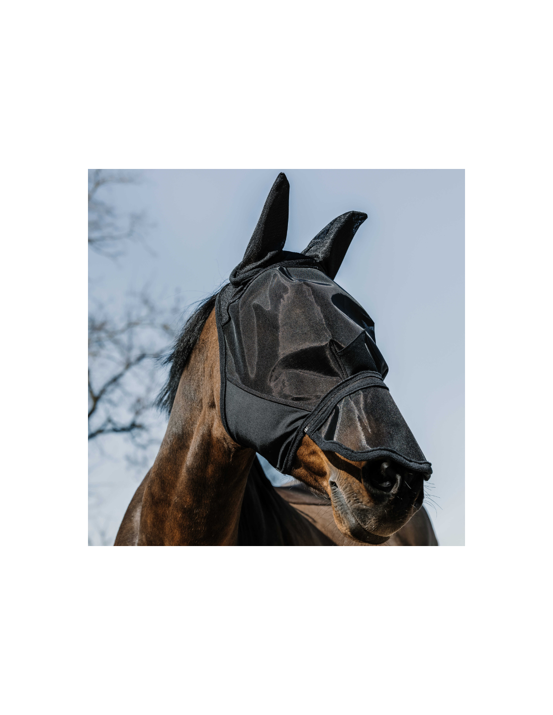 Masque Anti-mouches APOMOONS Pour Cheval, Protection UV, Oreilles Incluses, Taille M, Noir Et Blanc, Extensible, Grand Espace Yeux