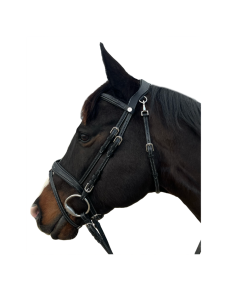 Flags & Cup Bridle New York 2