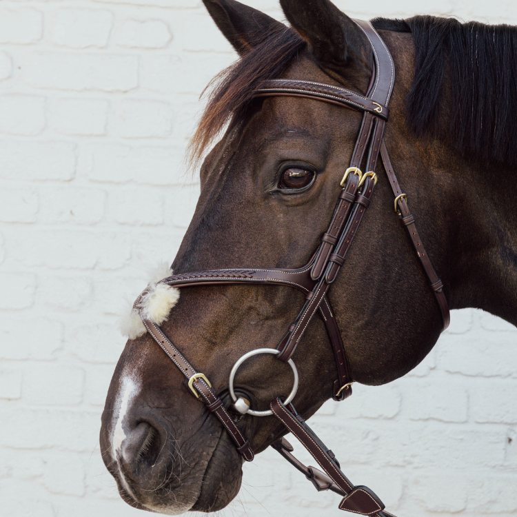 Muserolle Croisée Dy'on Tressée Brun