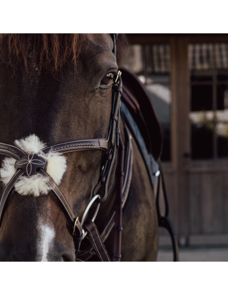 Muserolle Croisée Dy'on Tressée Brun