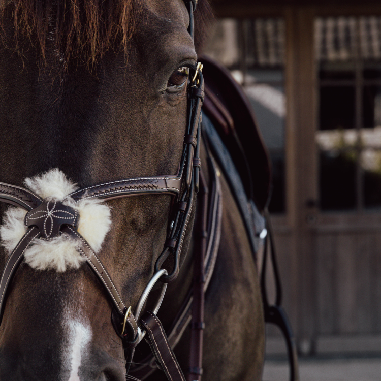Muserolle Croisée Dy'on Tressée Brun