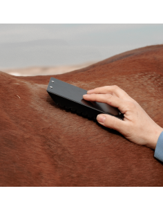 Deluxe Black Steel Grooming Chestnut 2