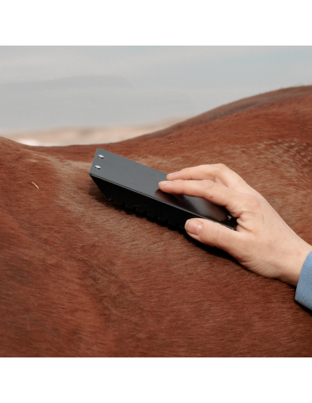 Étrille Grooming Deluxe En Acier Noir