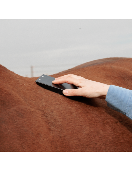 Étrille Grooming Deluxe En Acier Noir