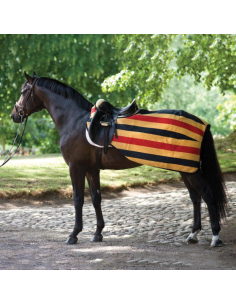 Couvre-Reins Horseware Rambo Competition Sheet jaune rayé noir 2