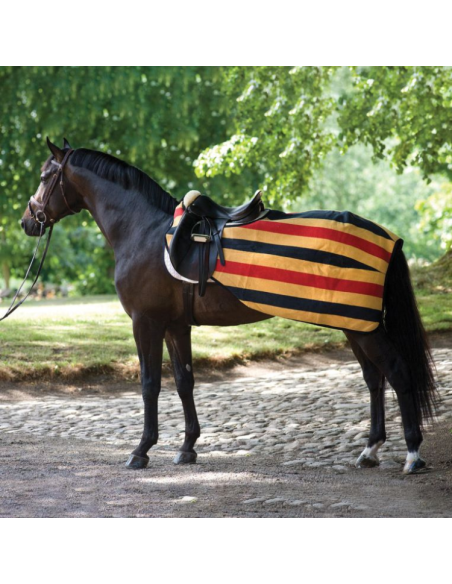 Couvre-Reins Horseware Rambo Competition Sheet jaune rayé noir