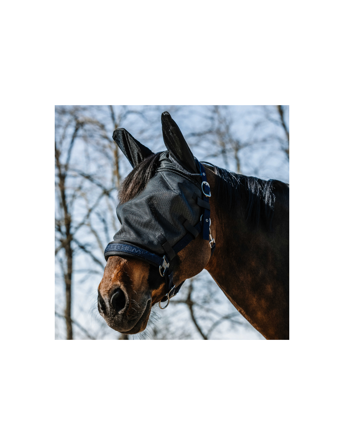 Chemise Anti Mouche Cheval Masque Anti-mouches Avec Oreilles LeMieux équitation Masque Anti Mouche Poney Chemise Anti Mouche Cheval Masque Anti-mouches Avec Oreilles LeMieux équitation Masque Anti Mouche Poney