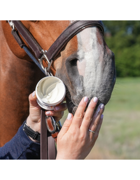 Crème Solaire Natural'Innov Natural'Sun 250ml