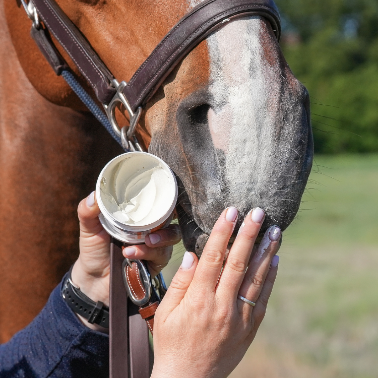 Crème Solaire Natural'Innov Natural'Sun 250ml