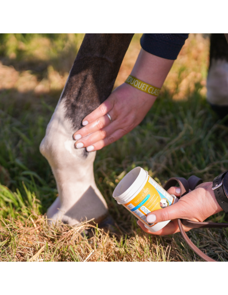 Crème Solaire Natural'Innov Natural'Sun 250ml