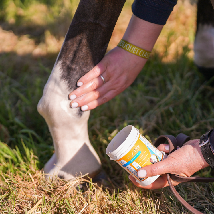 Crème Solaire Natural'Innov Natural'Sun 250ml