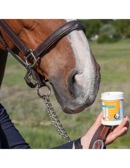 Crème Solaire Natural'Innov Natural'Sun 250ml