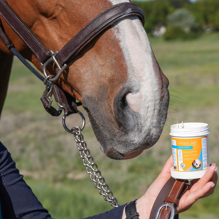 Crème Solaire Natural'Innov Natural'Sun 250ml