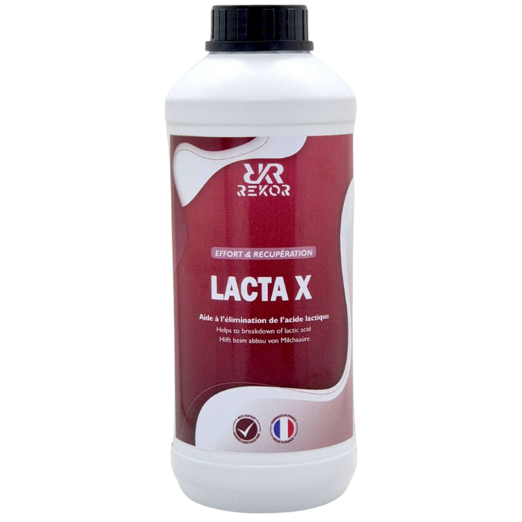 Complément Rekor Lacta X 1L