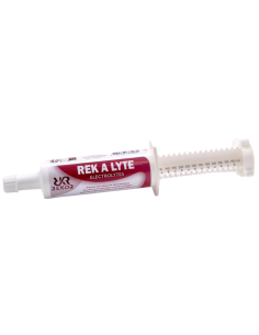 Seringue Rekor Rek A Lyteflash 60ml