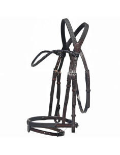 IHWT Evolution Soft T Disco Bridle
