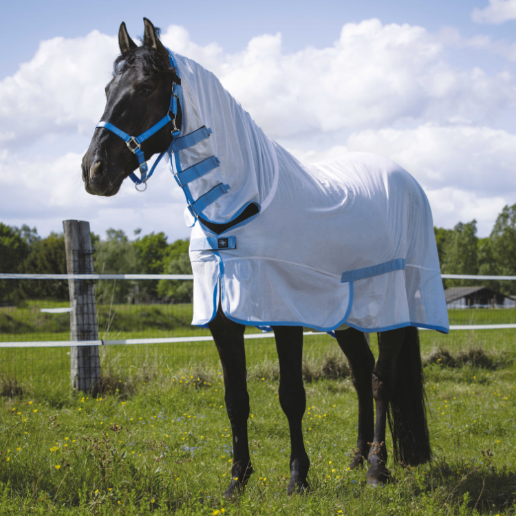 Chemise Filet Riding World Combo Blanc
