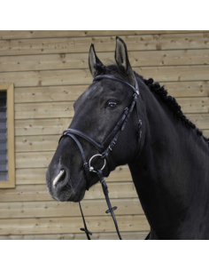 Bridon Riding World Muserolle Combinée Noir