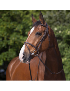 Bridon Riding World Muserolle Combinée Noir 2