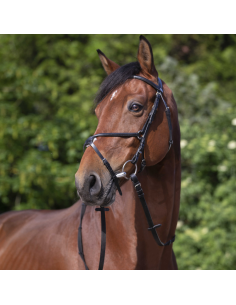 Bridon Riding World Muserolle Croisée Noir